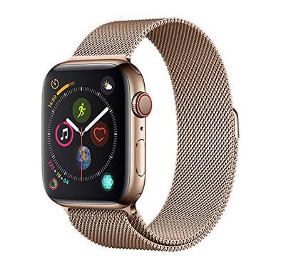 Apple stainless steel gold store