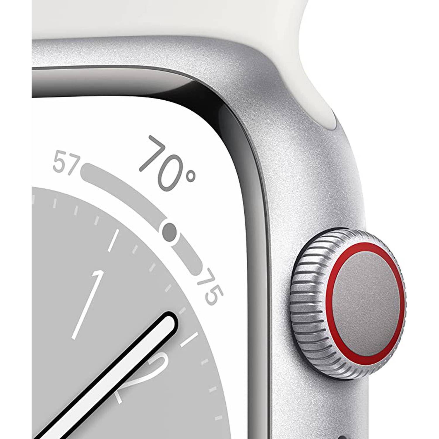 Apple watch se hotsell silver sport band