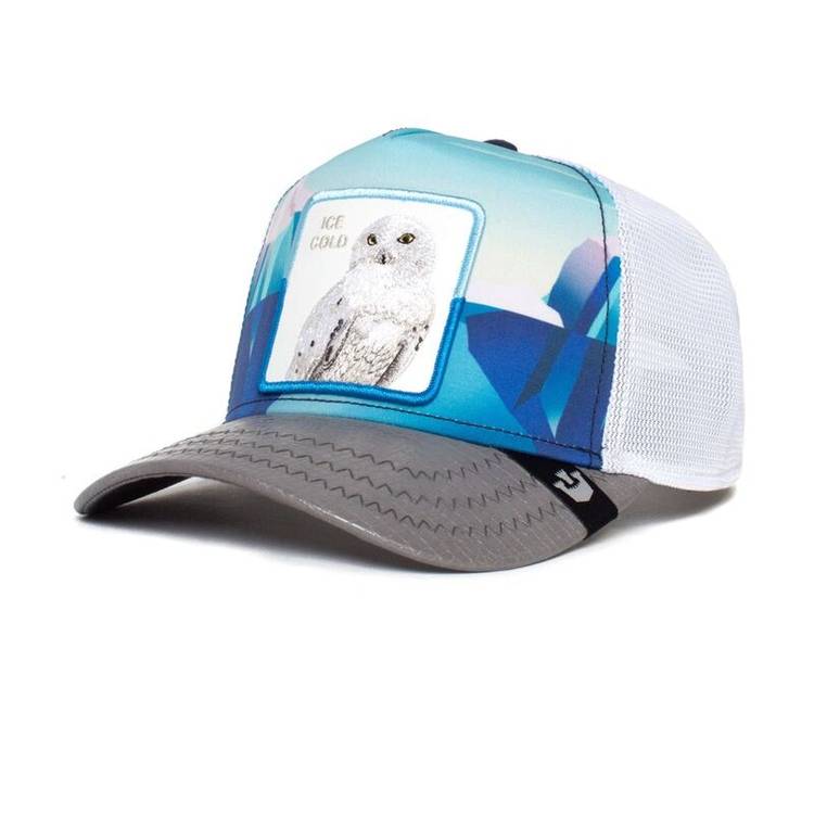 Goorin Bros Unisex Trucker Cap with ICE COLD Design (101
