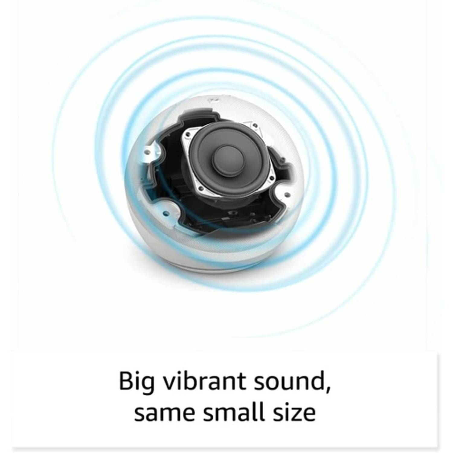 Buy  Echo Dot 5th Gen Smart Speaker With Alexa - Charcoal