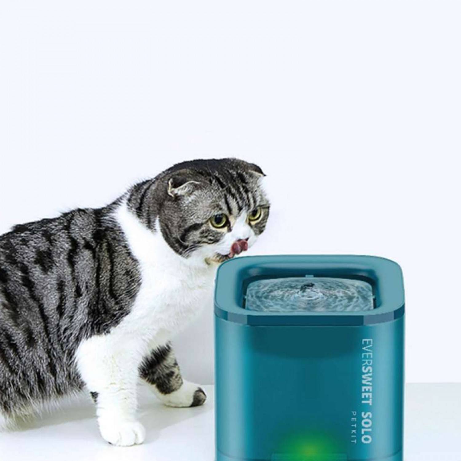 Petkit eversweet smart fountain waterer cheap