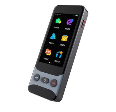 Levelo FluentLink Offline & Online Voice Translator, Built-in ChatGPT, Unit Conversion, Exchange Rate Conversion - Gray