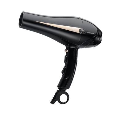 Green Lion Professional Hair Dryer, 2000W Rated Power, 28-69°C Temperature, Precision Concentrator, Removable Air Inlet - Black