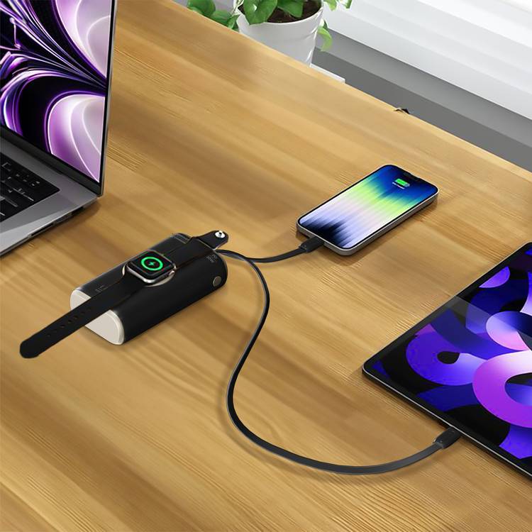 Levelo Roma 10000mAh Power Bank, Grip Cable, Fast Charging, Rubber & Titanium Coating, Simultaneous Charging  - Black / Desert Titanium