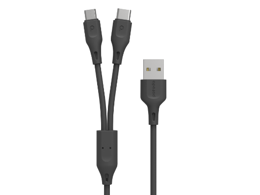 2 in 1 Cable Type-C and Micro USB