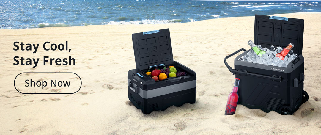 Buy Portable Fridge in UAE