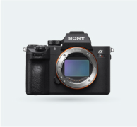 Mirrorless Cameras